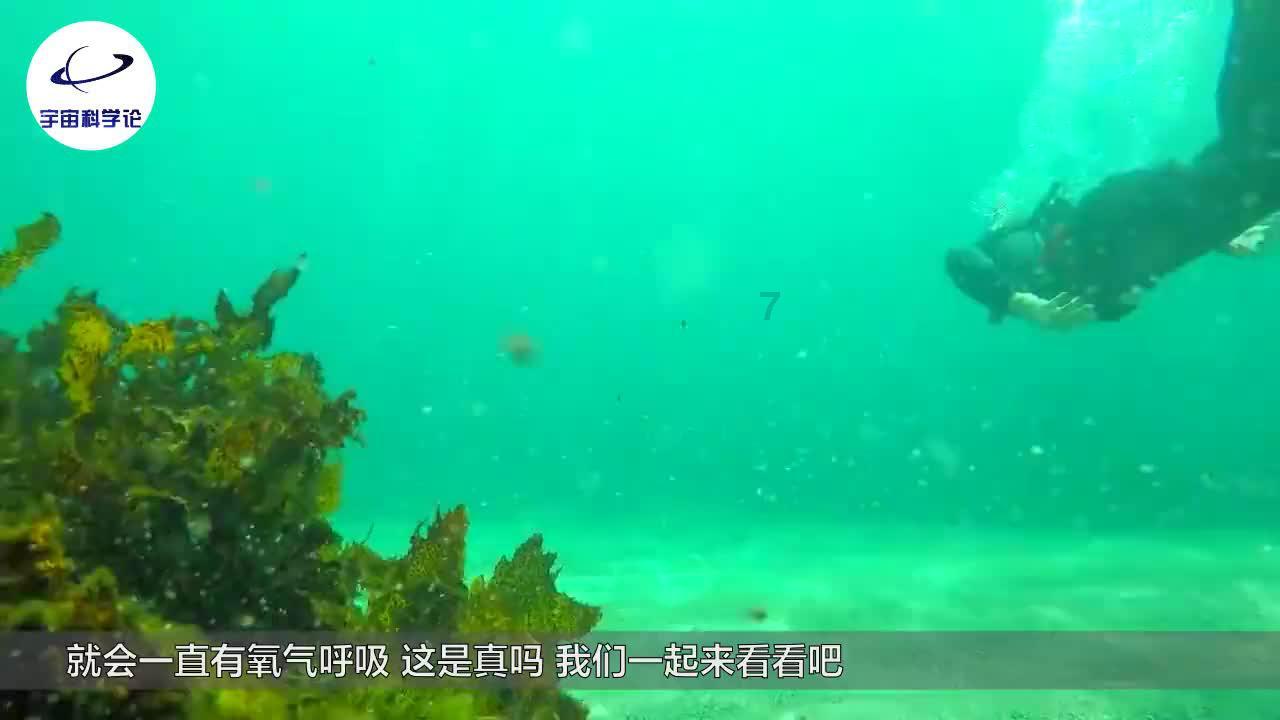 探探猫拼图