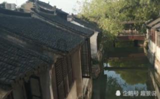 救援花栗鼠